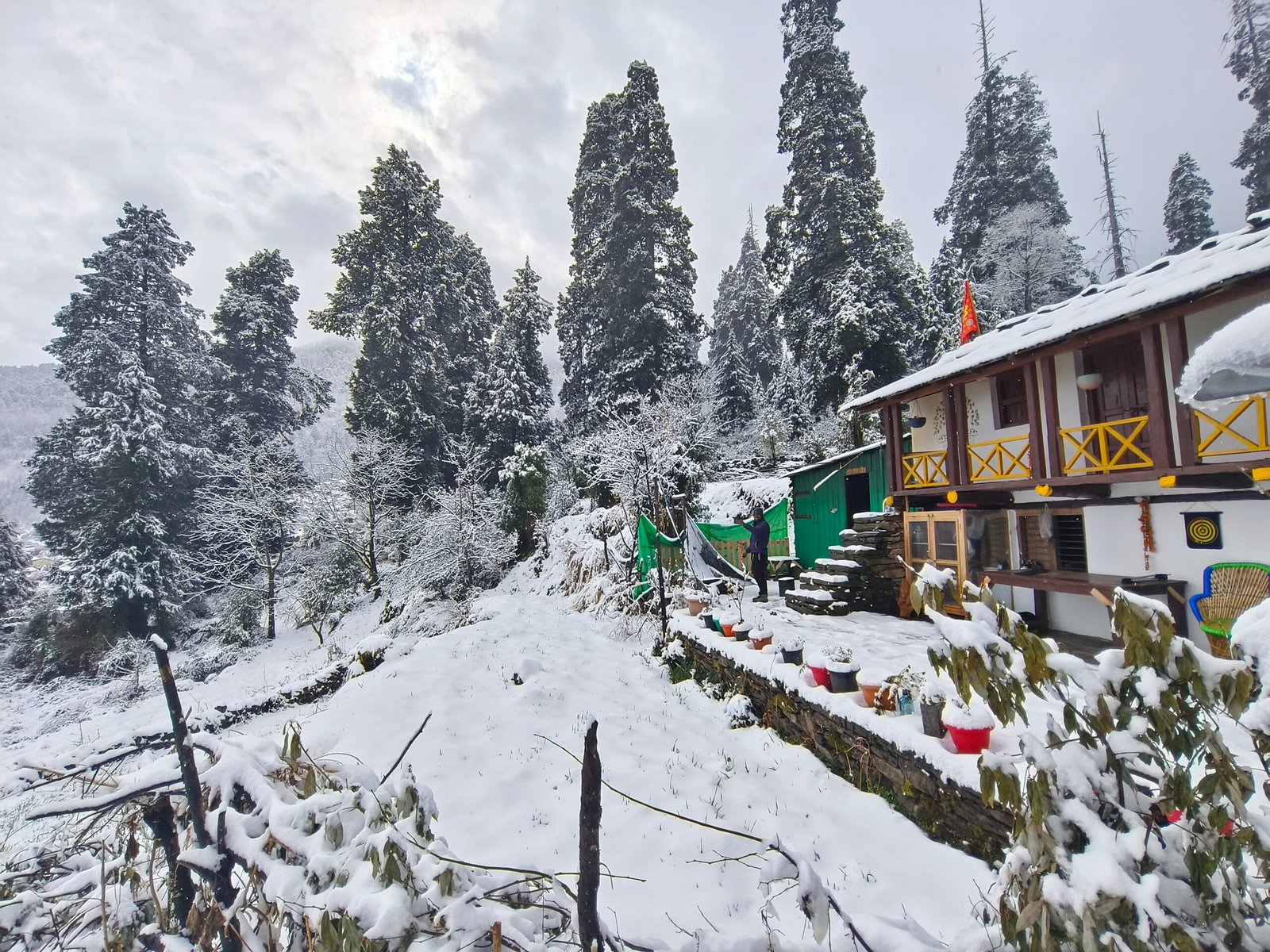 YogMatra Eco Homestay, Urgam Valley
