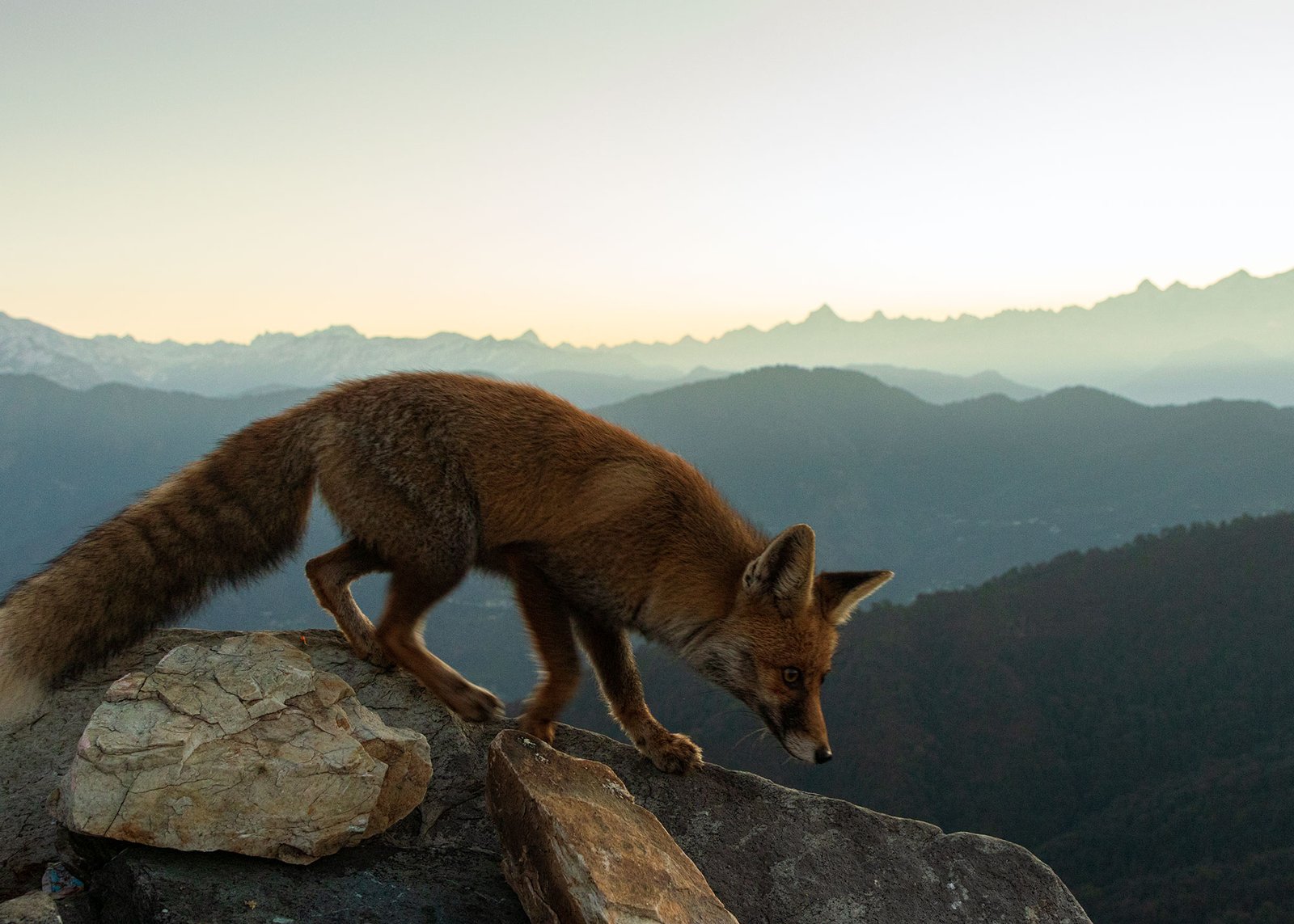 Praveen kewalram Purohit