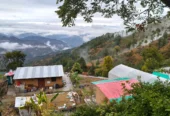 Amore Mountain Eco Homestay