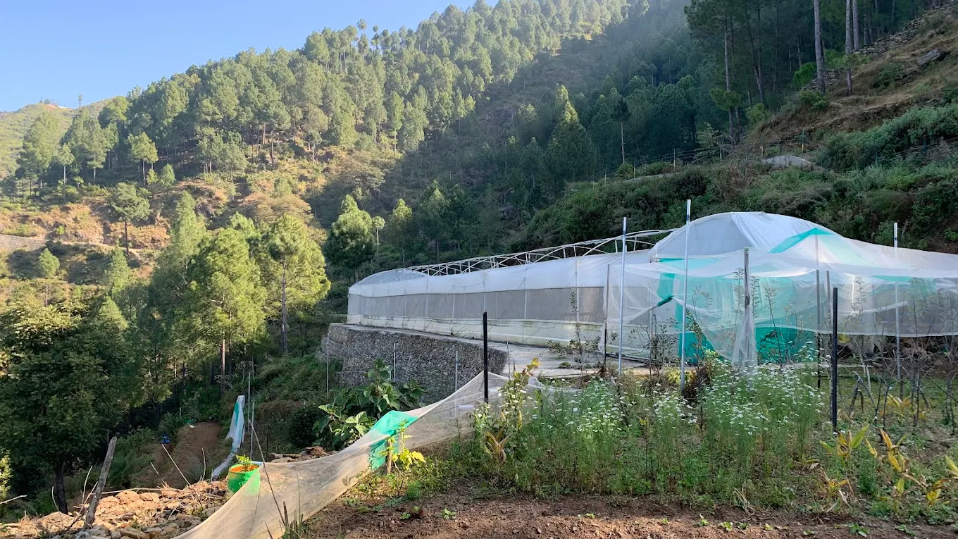 Amore Mountain Agro Farm