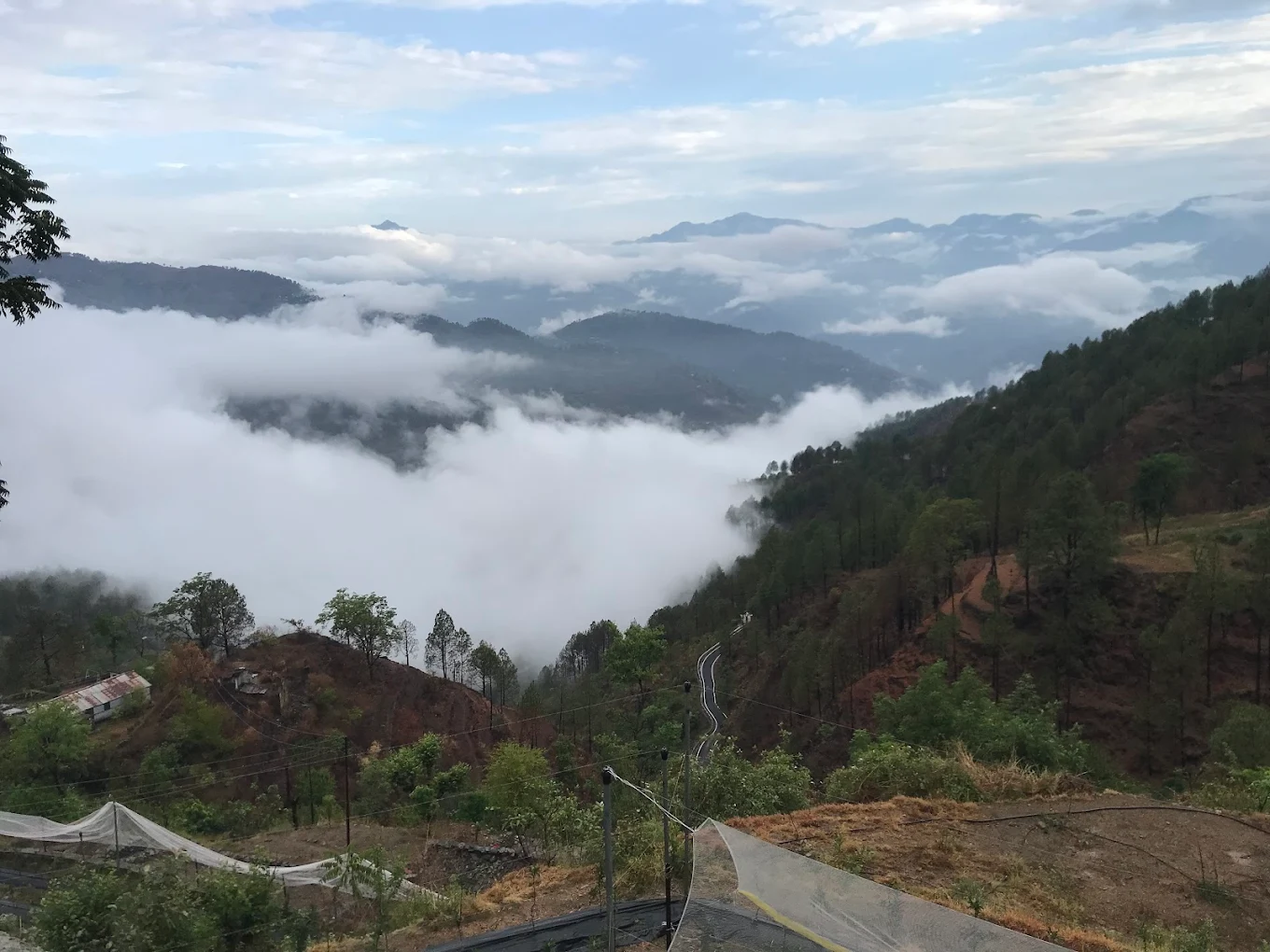 Amore Mountain Agro Farm