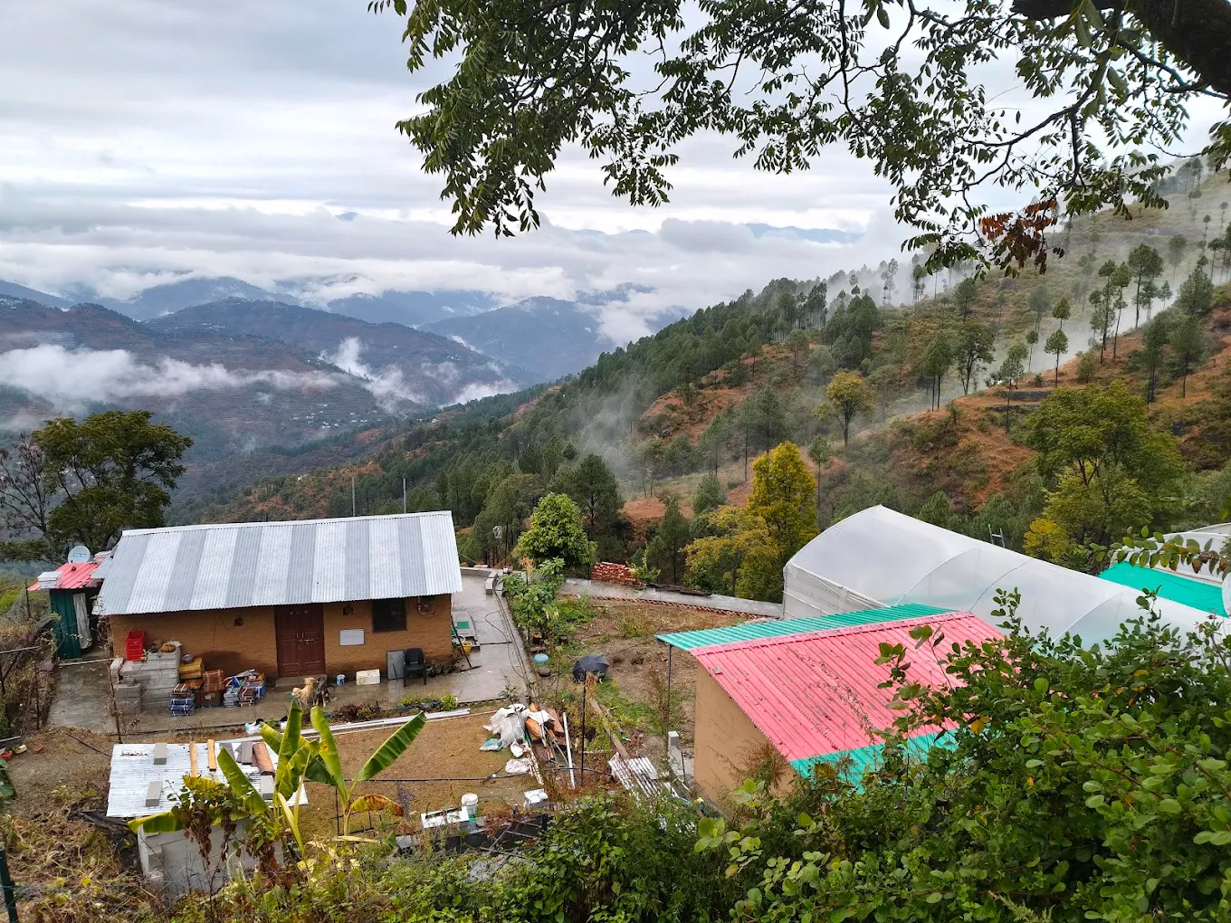 Amore Mountain Eco Homestay