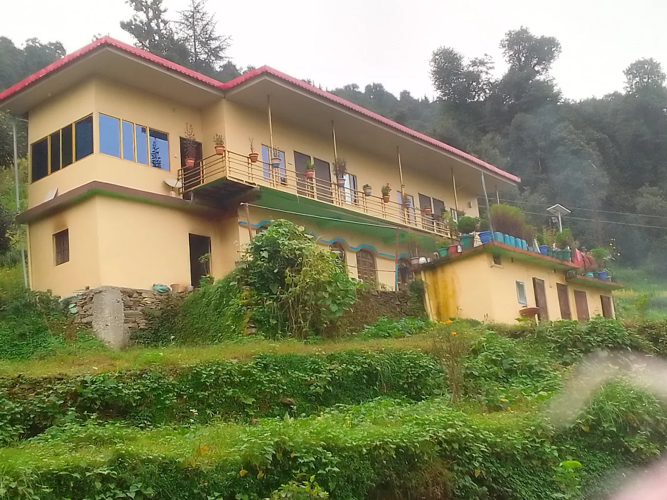 Kafal Tree Homestay Kinjani Mohankhal