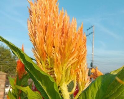 573866333_122197055216347424_4587975358185638351_n