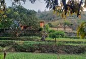 Kuwarji’s Organic Agro Farm, Pauri Garhwal