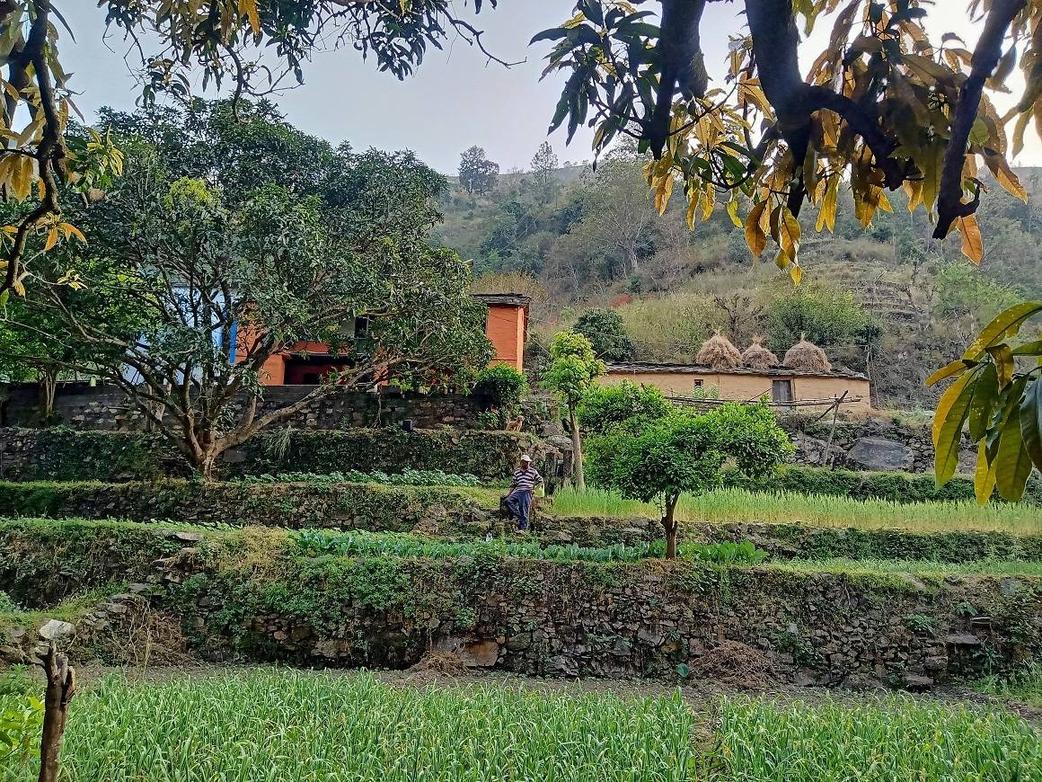 Kuwarji’s Organic Agro Farm, Pauri Garhwal