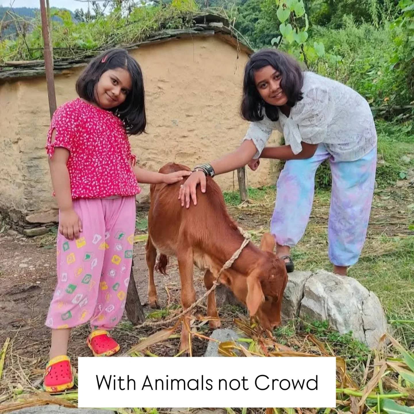Kuwarji’s Organic Agro Farm, Pauri Garhwal