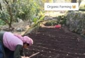 Kuwarji’s Organic Agro Farm, Pauri Garhwal