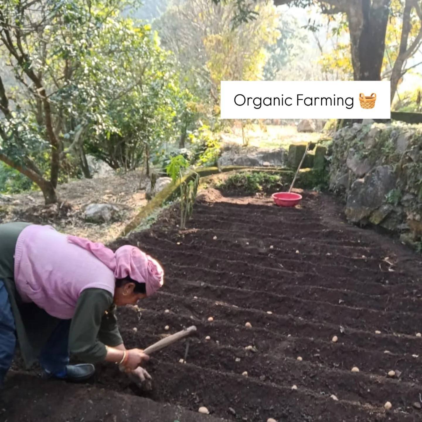 Kuwarji’s Organic Agro Farm, Pauri Garhwal