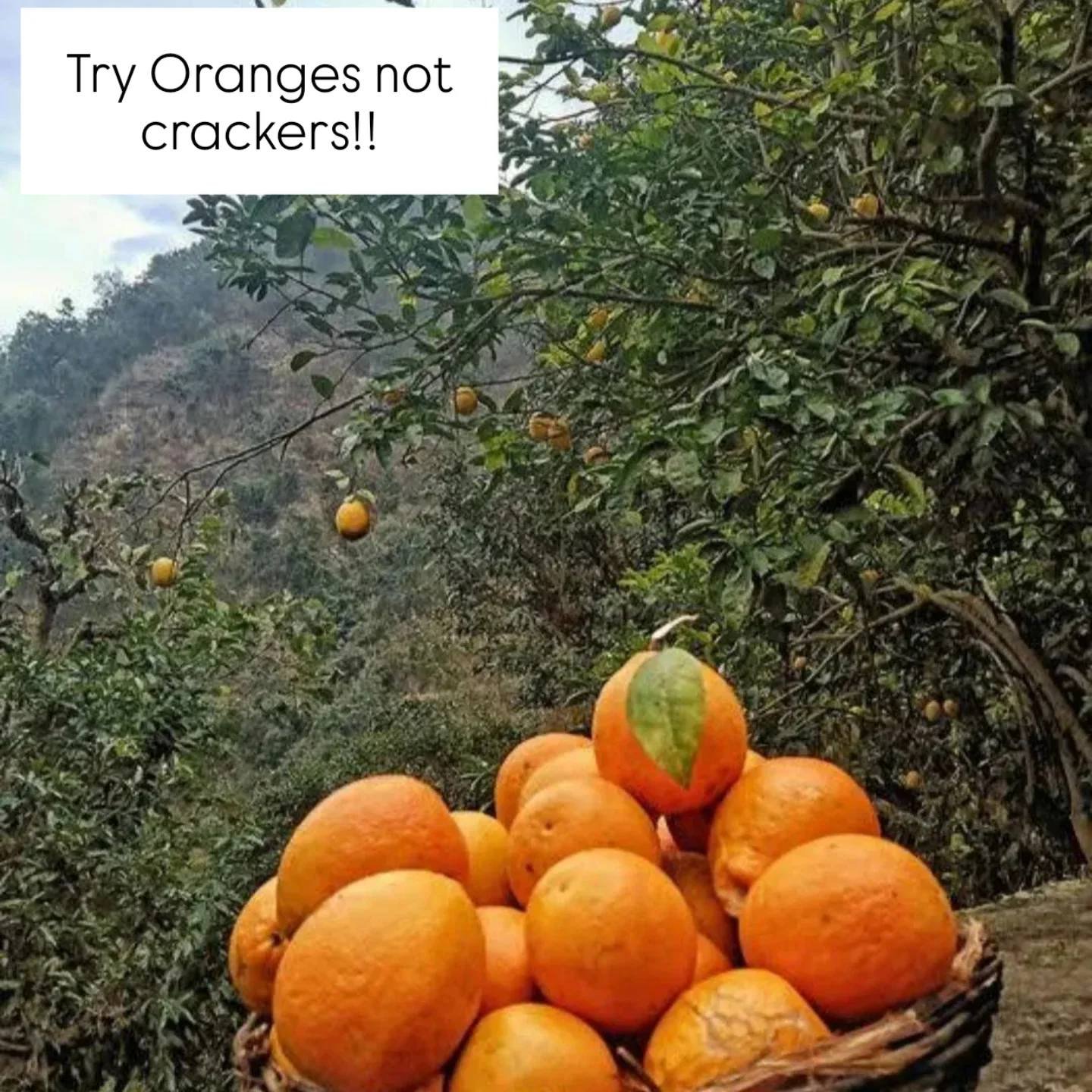 Kuwarji’s Organic Agro Farm, Pauri Garhwal