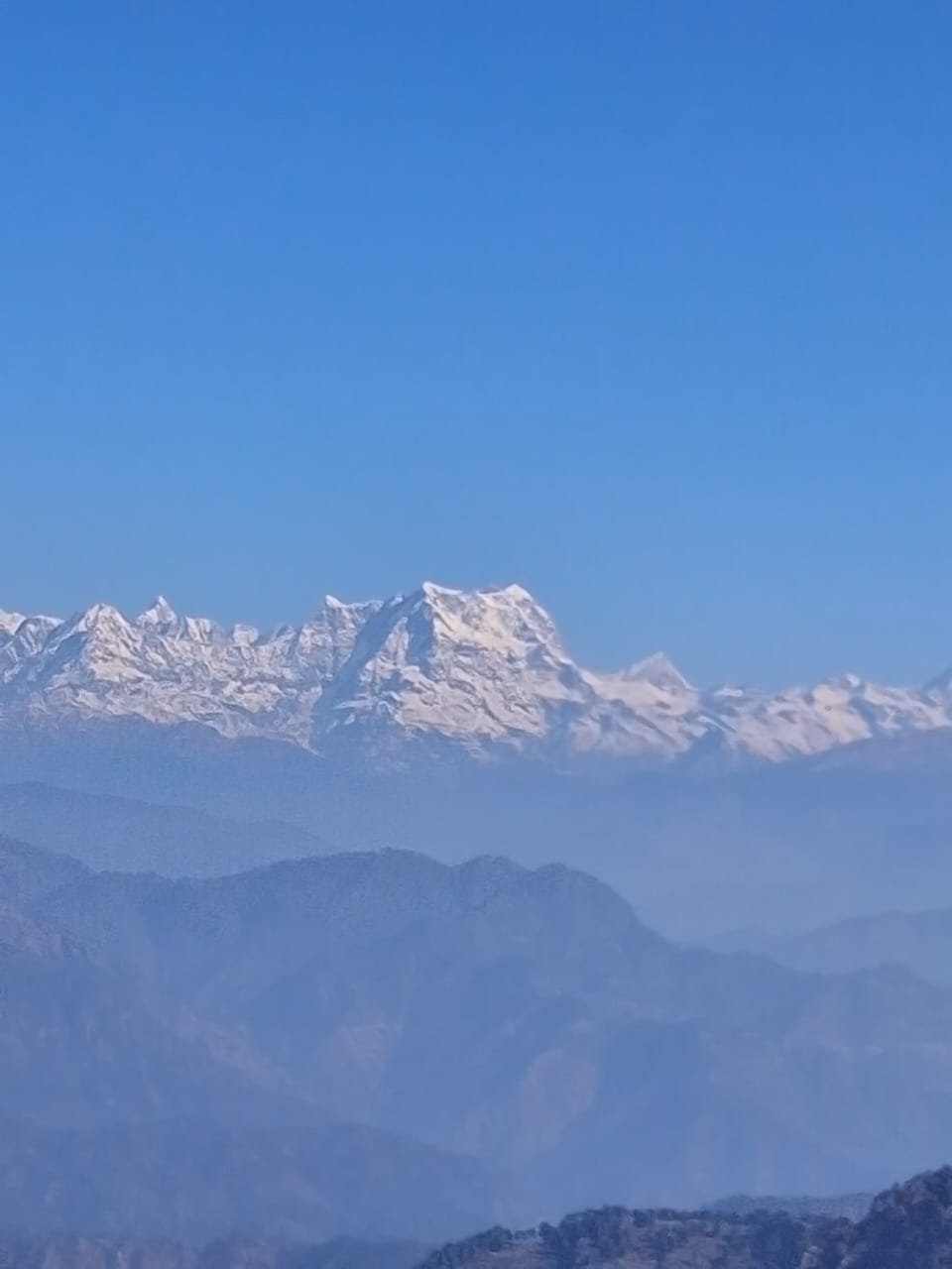 Peacock Homestay Khirsu Range