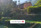 Kuwarji’s Home Stay, Pauri Garhwal