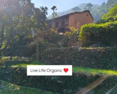 WhatsApp-Image-2026-03-06-at-1.20.17-PM