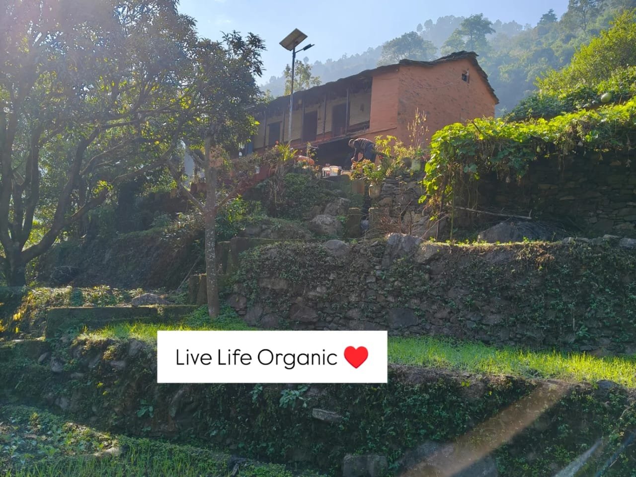 Kuwarji’s Home Stay, Pauri Garhwal