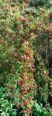 Feel Good Organic Agro Farm